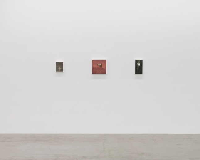 Lois Dodd | Ellen Siebers