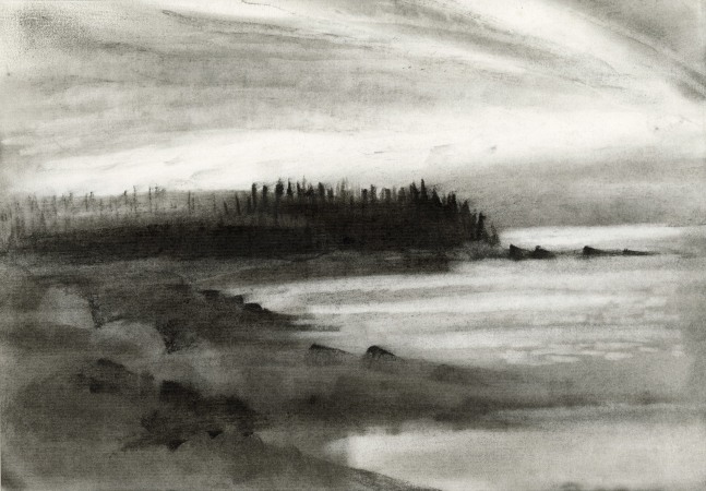 Emily Nelligan,&amp;nbsp;19 OCT 95 (1), 1995 charcoal on paper, 7 1/4 x 10 1/2 inches