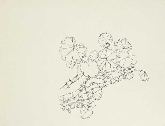 Untitled, ink on paper, 10 1/8 x 13 1/8 inches