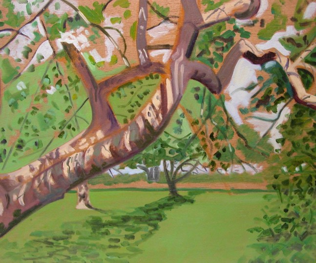 Dappled Light, Apple Tree, 2002, oil on plywood, 15 x 18 1/2 inches