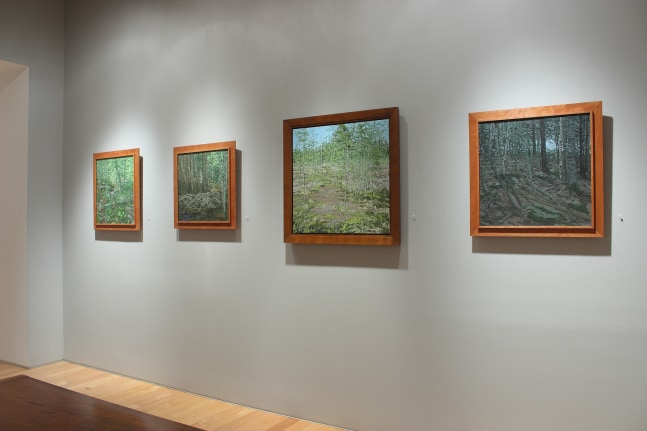 Photograph showing a view of an exhibition space, with four framed paintings hanging on a wall