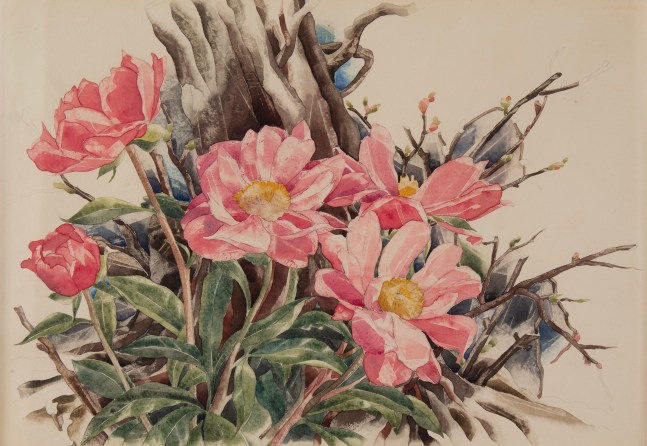 Charles Demuth, Single Peonies, 1929, watercolor on paper, 13 1/2 x 19 1/2 inches