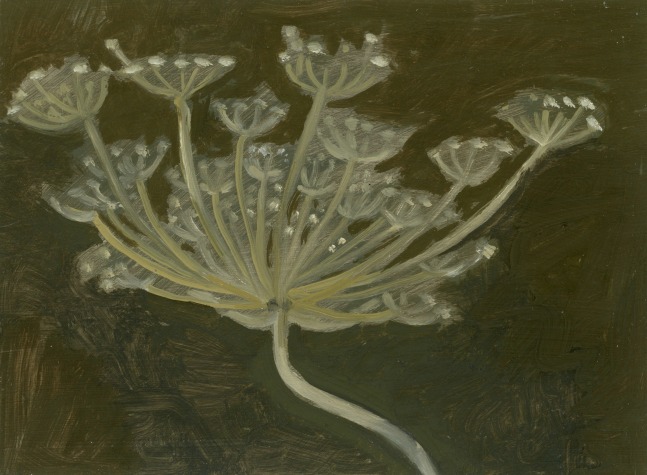 Painting of a flowering seed-head on a dark green ground