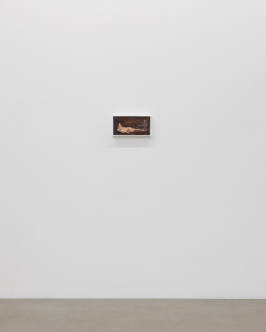 Lois Dodd | Ellen Siebers