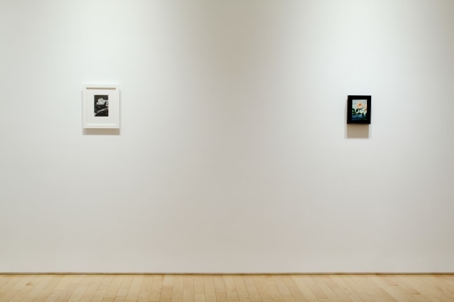 Paintings from Isolation