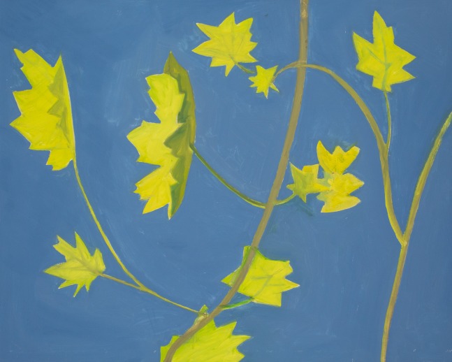 Fall Leaves, Blue Sky, 2024, oil on Masonite, 16 x 20 inches