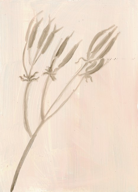Painting of a branch of seed pods on a light pink ground