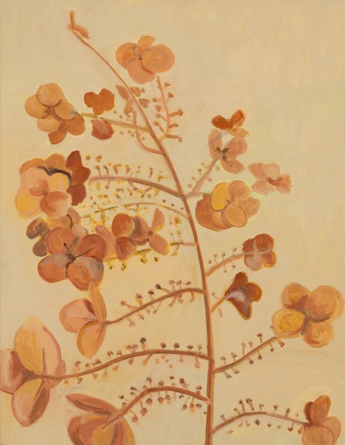 Dried Hydrangea Flower, 2023, oil on Masonite, 17 7/8 x 14 inches