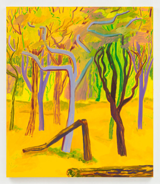 Shara Hughes, Subtle Signals