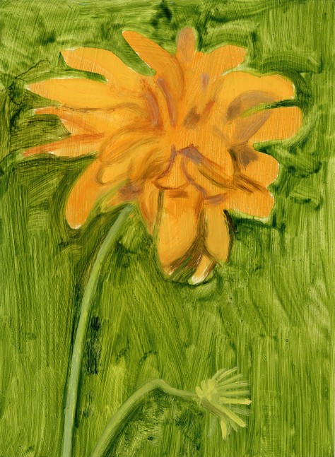 Painting of an orange flower against a green, grass-like ground