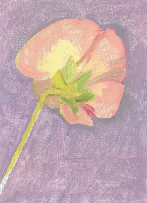 Painting of the back view of a pink flower on a purple ground