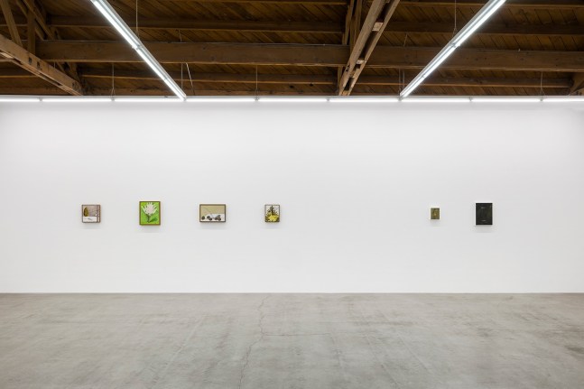 Lois Dodd | Ellen Siebers