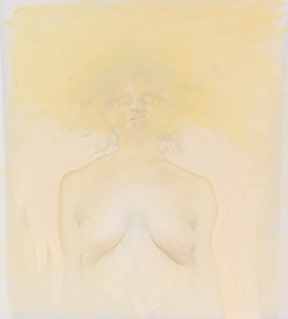 Anne Harris,&amp;nbsp;Invisible Girl, 2007, watercolor, graphite and oil on mylar, 33 1/2 x 31 inches