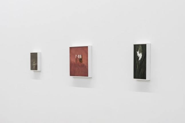 Lois Dodd | Ellen Siebers