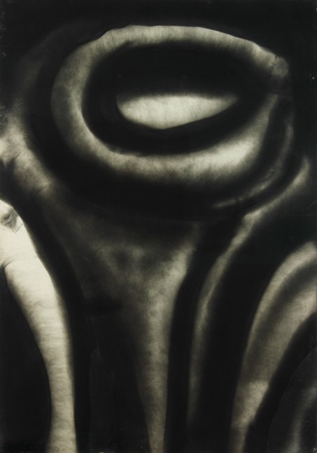 Abstract drawing of curved, organic forms