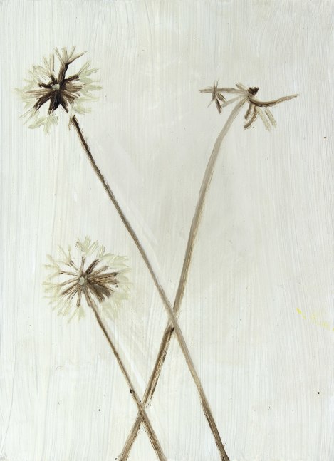 Painting of three brown seed-heads with small white flowers on a white ground