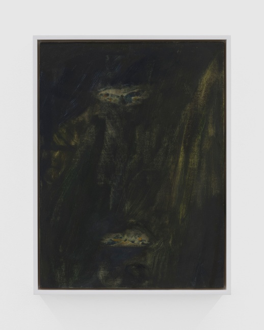 Ellen Siebers, two moths