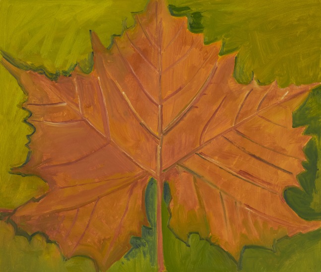 Lois Dodd, Maple Leaf, 2023, oil on Masonite, 12 x 14 inches