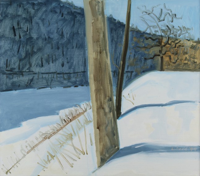 Water Gap Shadow, 1994, oil on Masonite, 15 7/8 x 18 1/8 inches