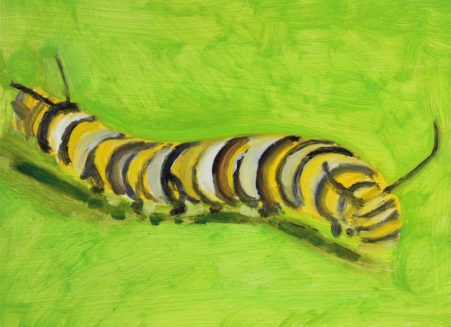 Painting of a caterpillar with stripes of yellow, black, and white crawling on a green ground