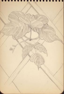 Untitled, c. 1930-1932, graphite on paper, 4 x 5 3/4 inches
