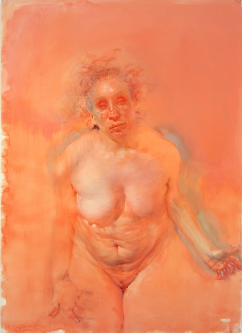 Anne Harris,&amp;nbsp;Self-Portrait (Orange), 2006-2007, oil and mixed media on mylar, 41 x 30 inches