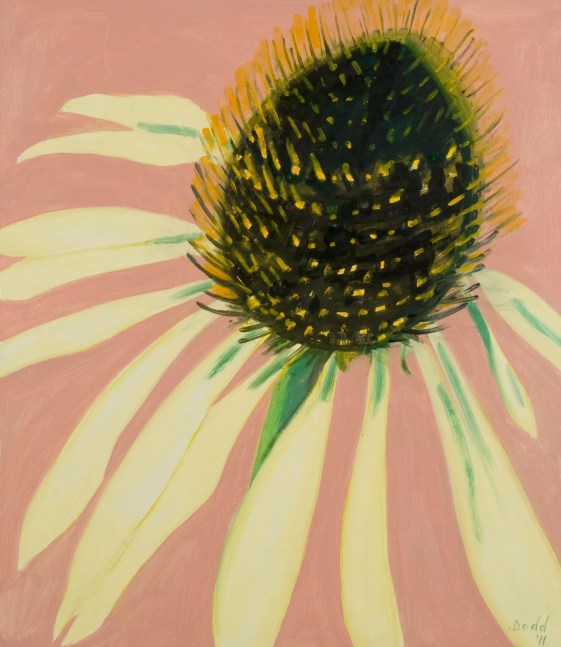 Painting of a close-up view of a flower head with pale yellow petals against a pink background