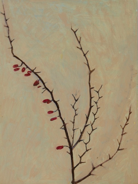 Barberry Twig, 2022, oil on wood panel, 16 x 12 inches