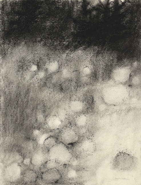 Atmospheric charcoal landscape drawing