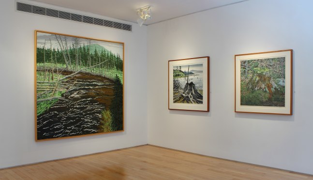 Photograph showing a corner view of an exhibition space with three paintings hanging on white walls
