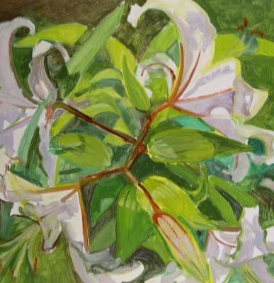 Looking Down on White Lilies, 2004, oil on Masonite, 12 x 11 3/4 inches&amp;nbsp;