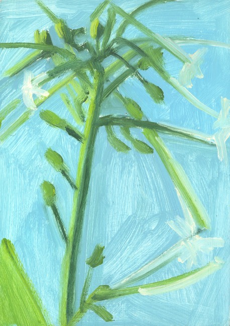 Painting of a plant with green buds and small white flowers against a light blue sky