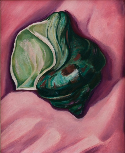 Marsden Hartley, The Sea Shell, 1929, oil on board, 17 1/2 x 14 1/2 inches