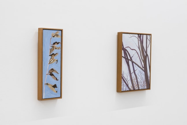 Lois Dodd | Ellen Siebers