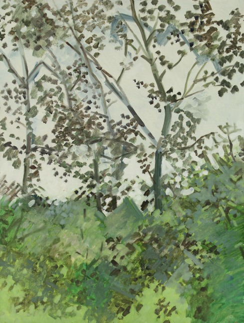 Three Aspen or Balm of Gilead, 1969, oil on Masonite, 19 1/4 x 14 1/2 inches