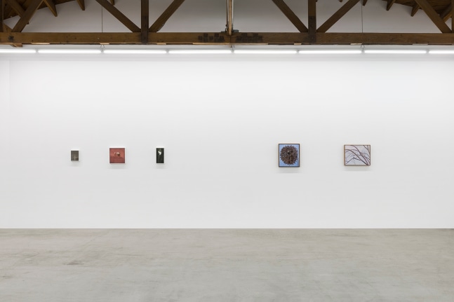 Lois Dodd | Ellen Siebers