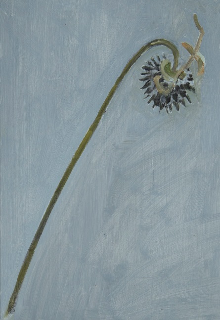 Painting of a dried flower on a grey-blue ground