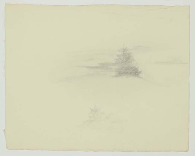 Atmospheric graphite drawing of two trees in a landscape