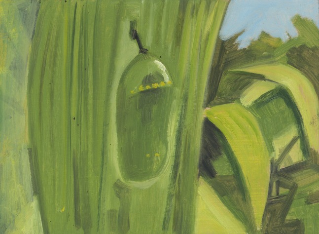 Painting of a green chrysalis hanging nearly camouflaged on a green leaf