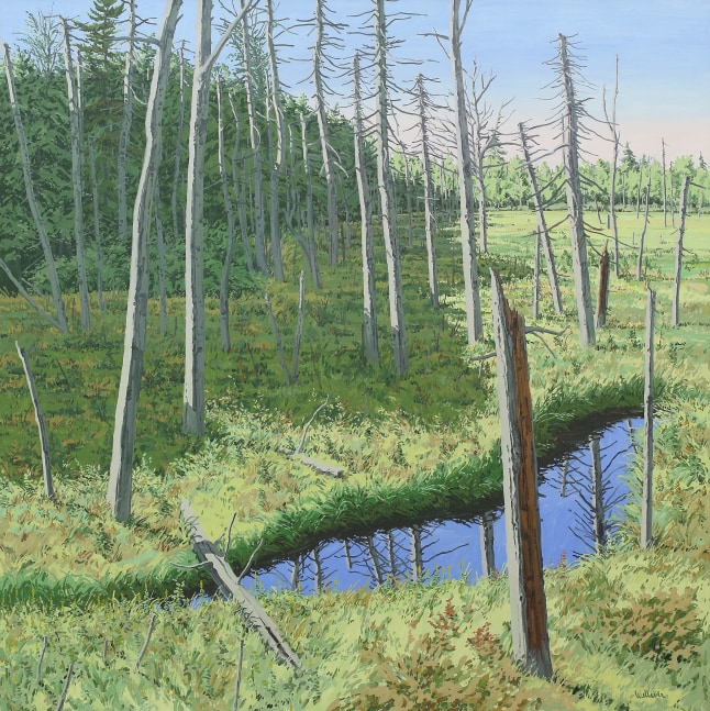 Marsh Shadow,&amp;nbsp;1984,&amp;nbsp;oil on canvas,&amp;nbsp;96 x 96 inches