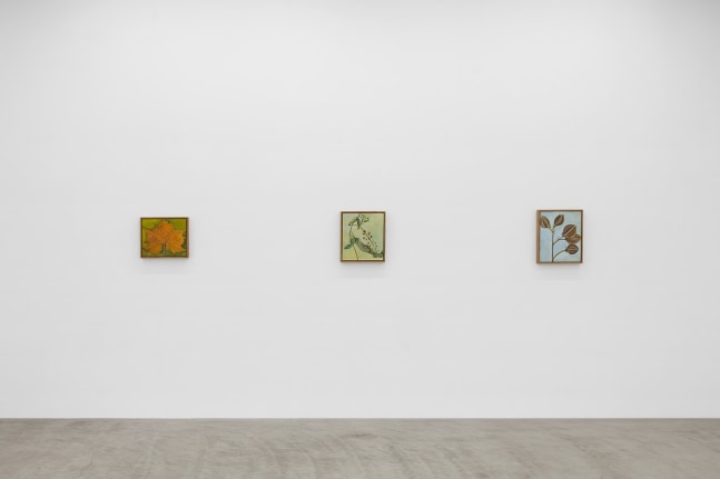 Lois Dodd | Ellen Siebers