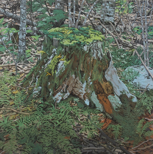 Stump, 2000,&amp;nbsp;woodcut on Nishinouchi,&amp;nbsp;35 x 34 inches