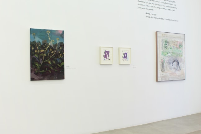 Photograph of a detail view of an exhibition with four paintings hung on a white wall