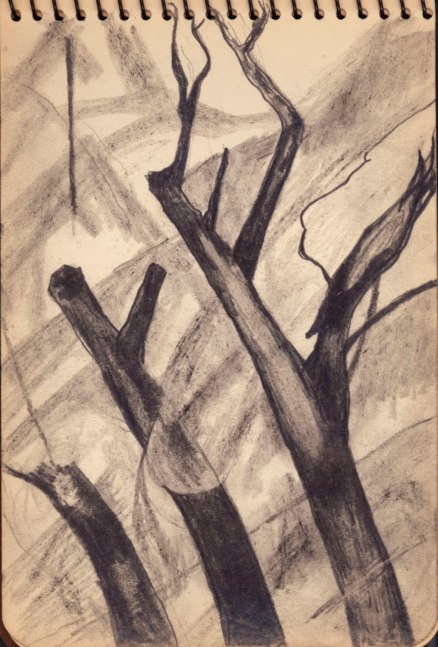 Untitled (&amp;quot;Trees&amp;quot;),&amp;nbsp;c. 1930-1932, graphite on paper, 4 x 5 3/4 inches