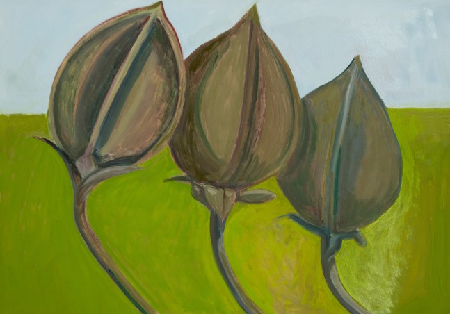 3 Dried Seed Pods, 2024, oil on Masonite, 14 x 20 inches
