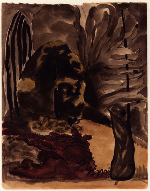 Plant Forms, c. 1930, watercolor on paper, 11 x 8 1/2 inches