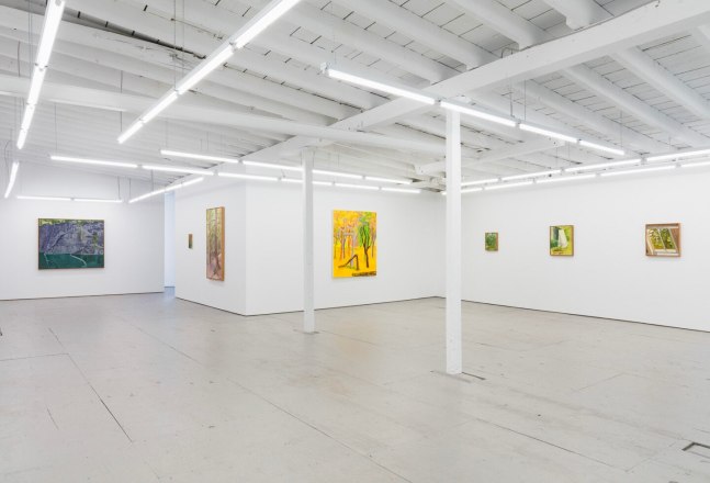 Lois Dodd and Shara Hughes