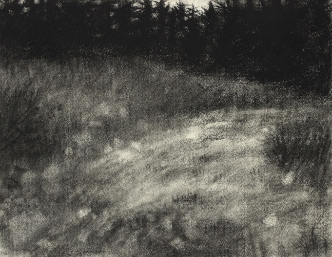 Atmospheric charcoal landscape drawing