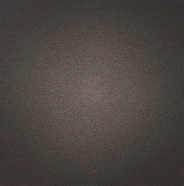 Daisy Newman, 1984-1985, oil on canvas, 46 x 46 inches