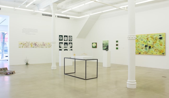 Photograph of a corner view of an exhibition showing a range of paintings, drawings, sculptures and prints in a white gallery space
